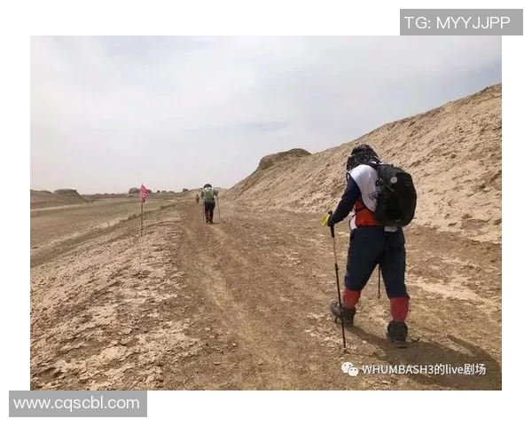 成都篮球队转型之路的真实记录与成长故事MBA